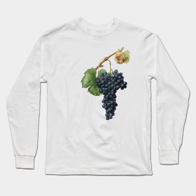 vintage grapes print Long Sleeve T-Shirt by ellanely